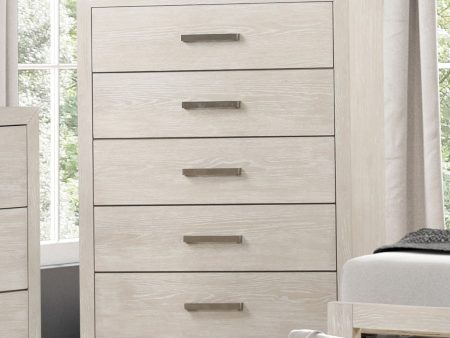 Wellingborough Light Gray Chest For Discount