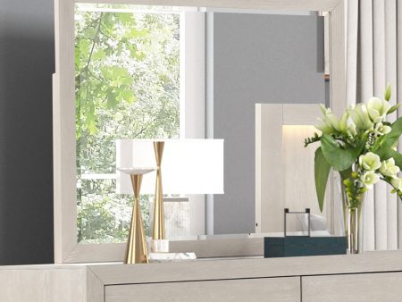 Wellingborough Light Gray Mirror Supply