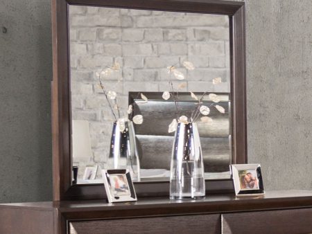 Hinwitz Espresso Mirror Hot on Sale