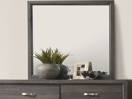 Errico Gray Mirror Online Hot Sale