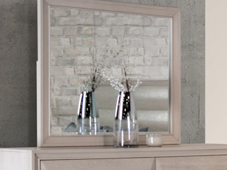 Hinwitz White Oak Mirror Hot on Sale