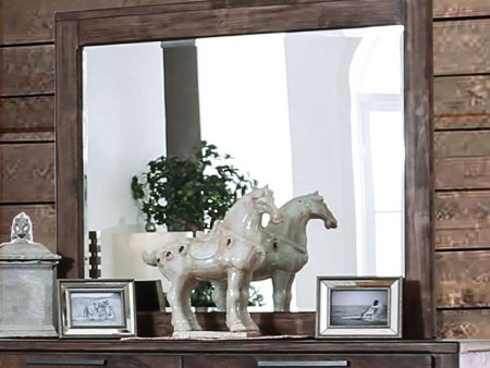 Hankinson Rustic Natural Tone Mirror on Sale