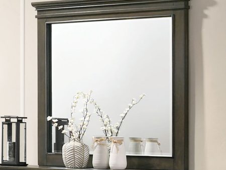 Houston Gray Mirror Online now