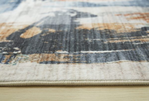 Hessland Multi Washable Medium Rug For Cheap