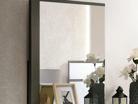 Birsfelden White Metallic Gray Mirror Online Sale