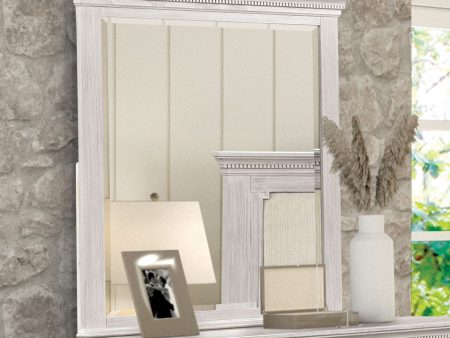 Swanley Weathered Gray Mirror For Sale