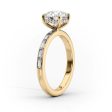 The Jennifer Set With A 4.5 Carat Princess Moissanite Discount